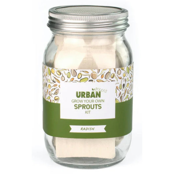 Urban Greens Sprout Kit - Radish