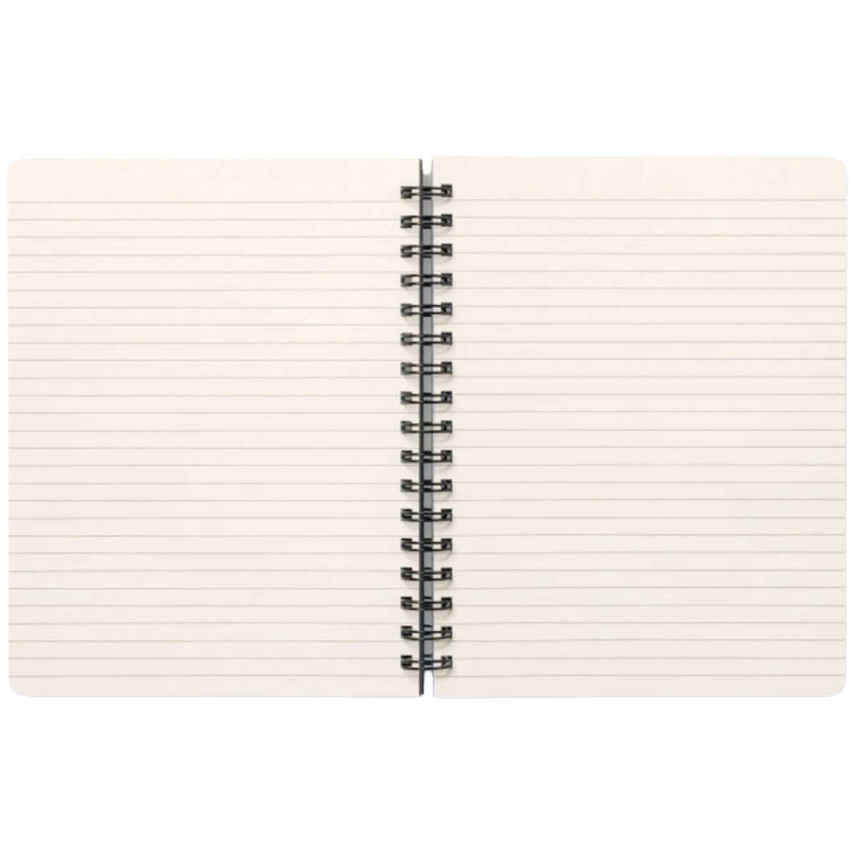 Notebook - We Are Made of Infinite Possibilities