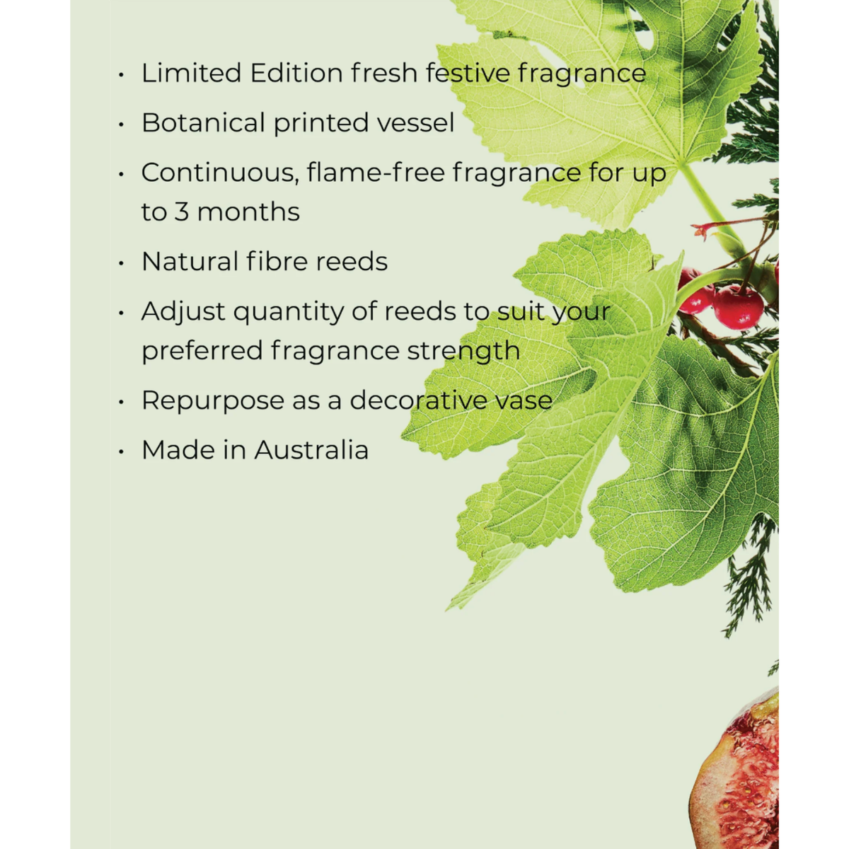 250ml Diffuser - White Fig & Cedar 26