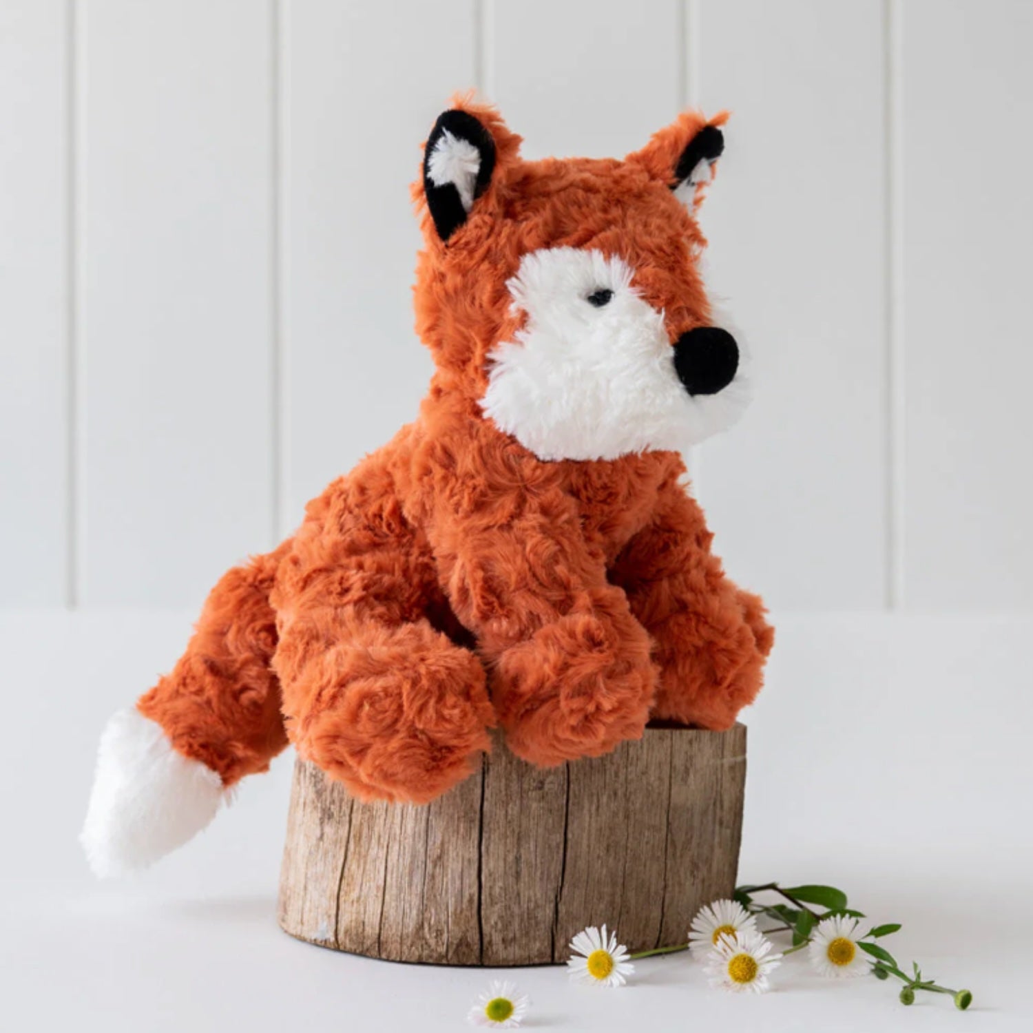 Felix the Fox