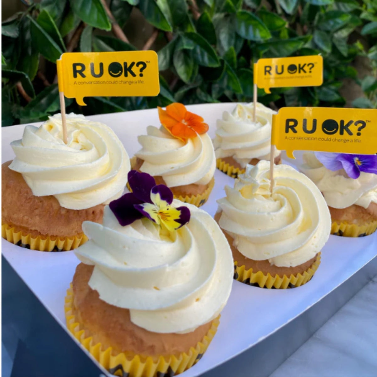 R U OK Cupcakes