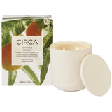 300gr Candle - Mango & Papaya