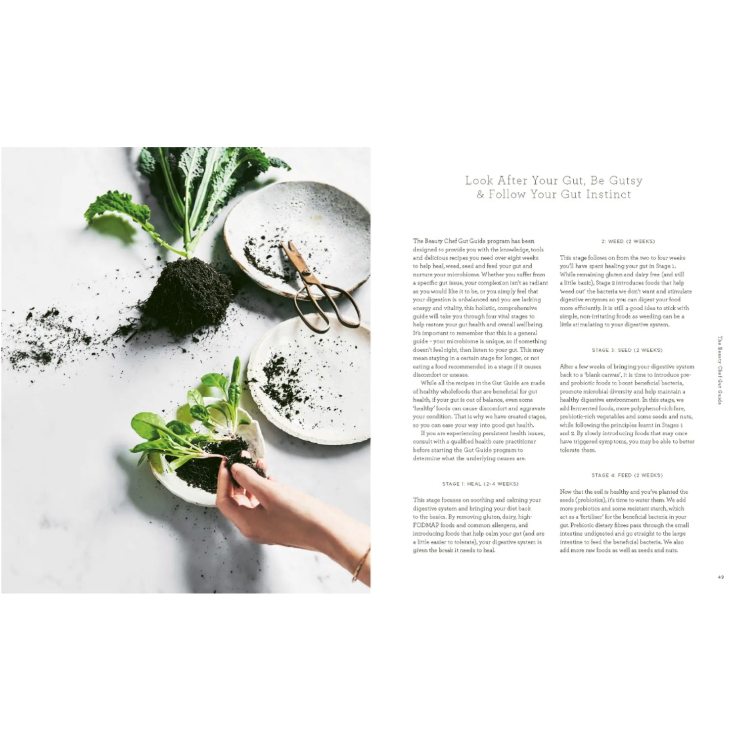 Beauty Chef  Gut Guide