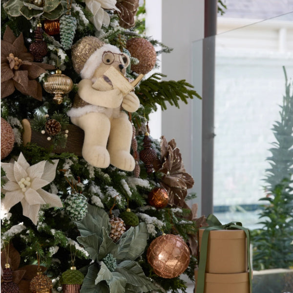 Reading Papa Teddy Bear