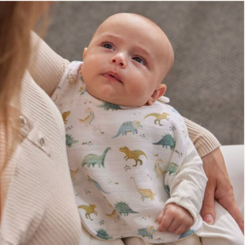 Dallying Dinosaur Bib S/2