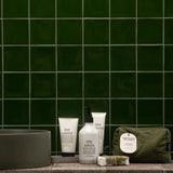 Quintessential Skin Quartet