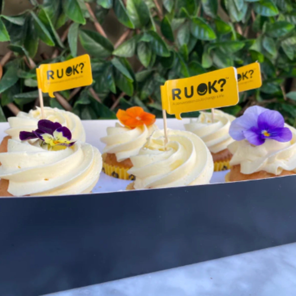 R U OK Cupcakes