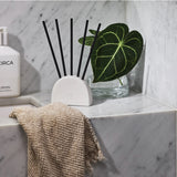 Scent Stems Duo - Oceanique & Jasmine & Magnolia