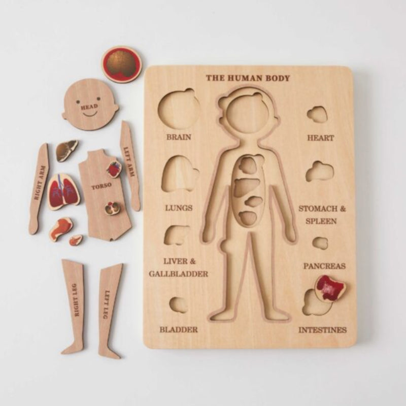 The Human Body Puzzle