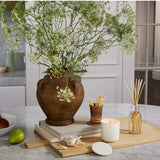 250ml Diffuser Alchemy - Grapefruit & Cedarwood