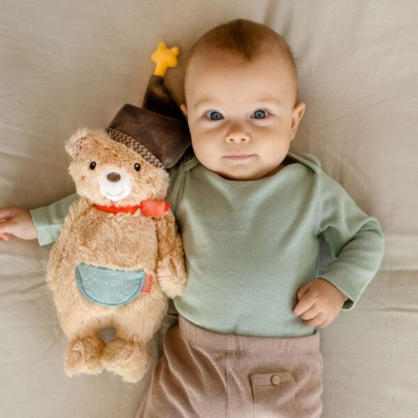 Cuddly Toy Bear