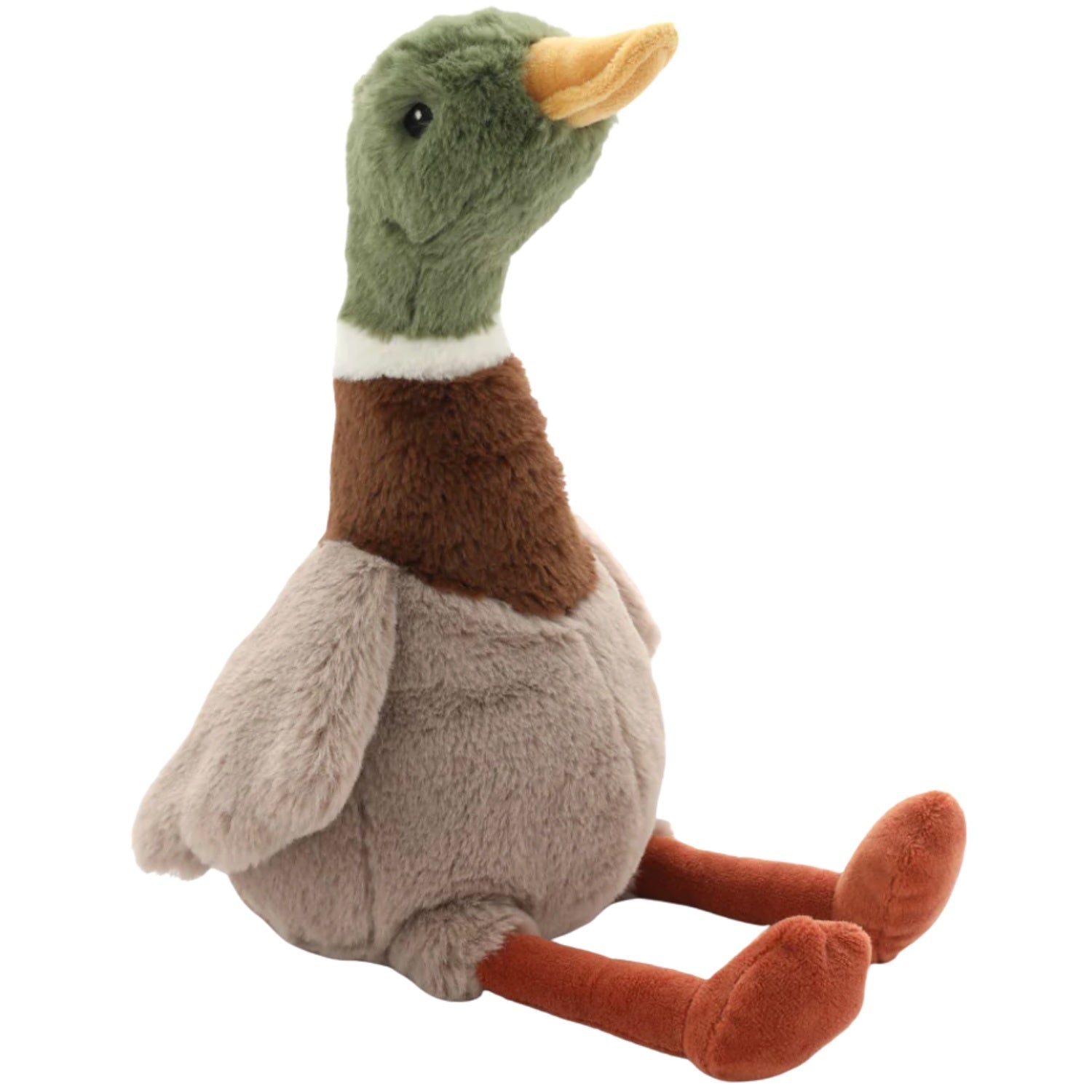 Hugo The Mallard Duck