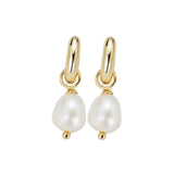 Charlie Mini Hoop - Gold