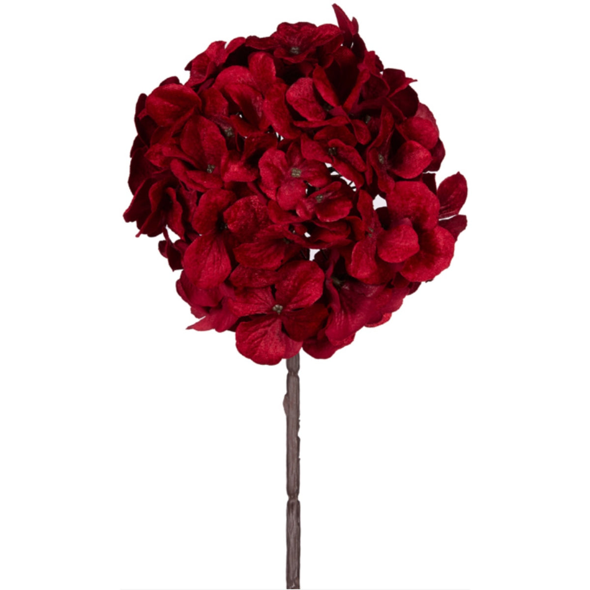 Red Hydrangea Stem