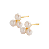 Luna Pearl Stud - Gold
