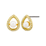 Callidora Stud Earrings - Gold