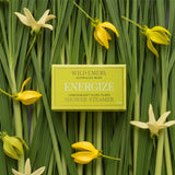 Shower Steamer - Energize