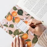 Workbook - Peaches