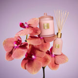 250ml Diffuser - Radiance in Bloom