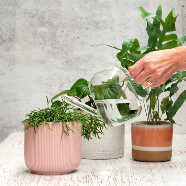 Glass Watering Can