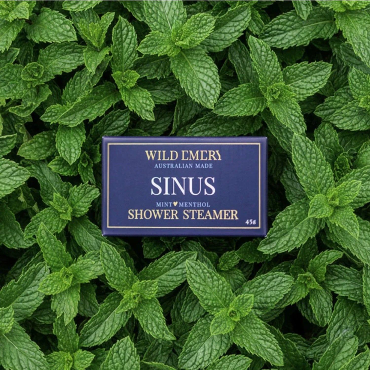 Shower Steamer - Sinus