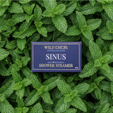 Shower Steamer - Sinus