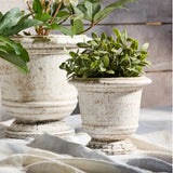 Small Urn Planter - Rustic White