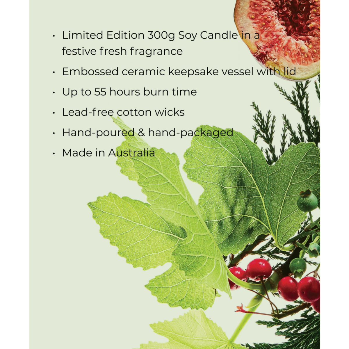 300g Candle - White Fig & Cedar 26