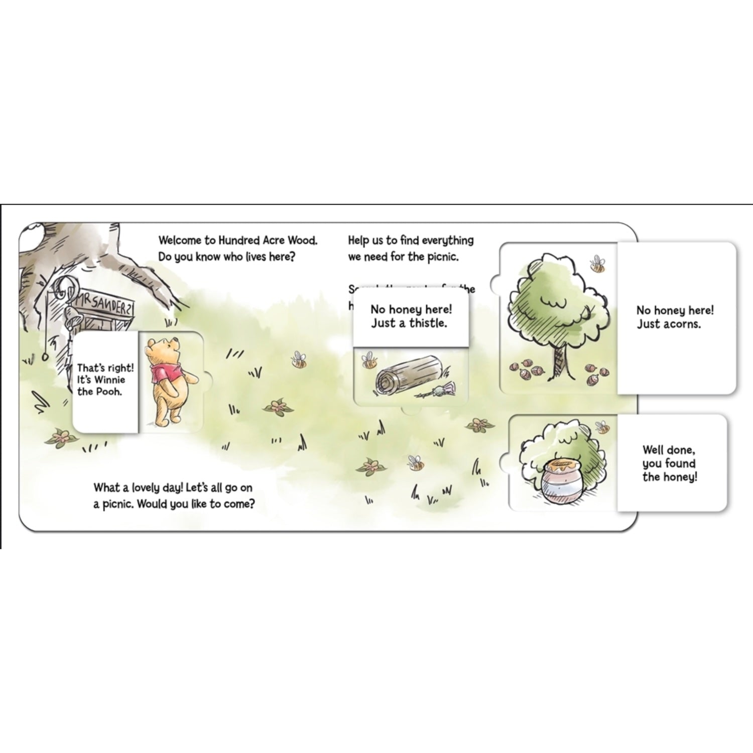 Winnie-The-Pooh: A Perfect Picnic