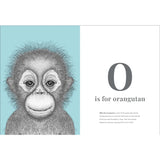 Dots by Donna - Animal Alphabet