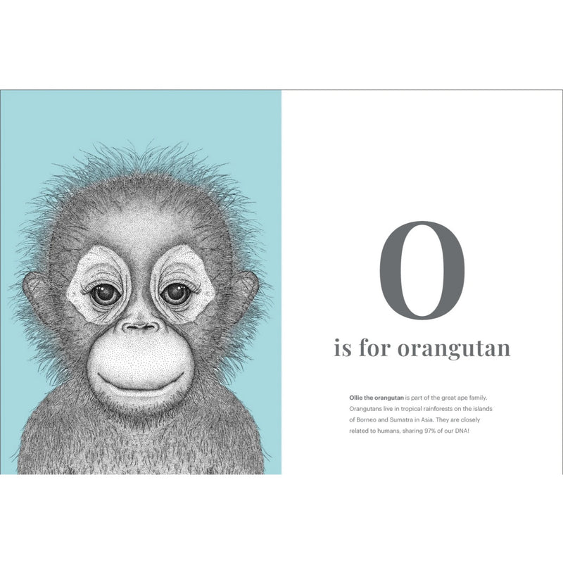 Dots by Donna - Animal Alphabet