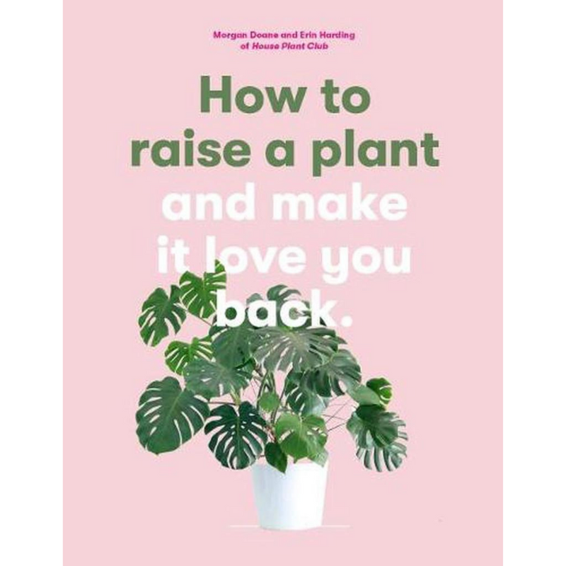 How To Raise A Plant