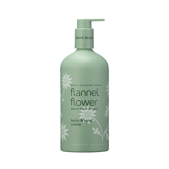 Maine Beach Flannel Flower