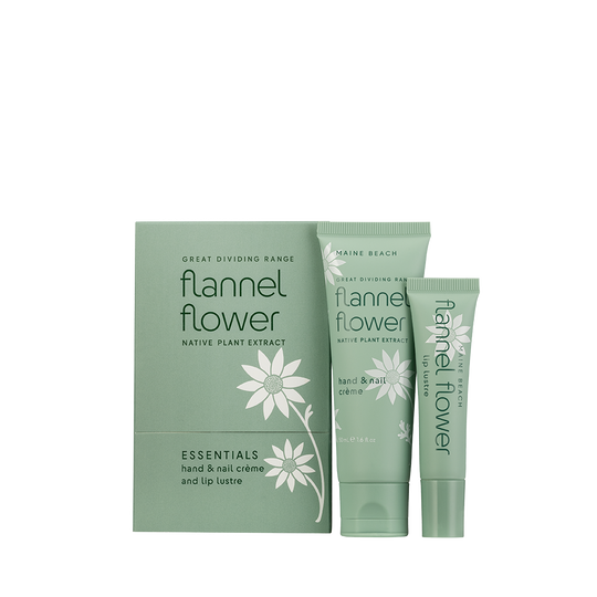 Maine Beach Flannel Flower