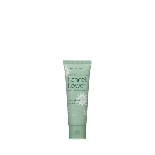 Maine Beach Flannel Flower