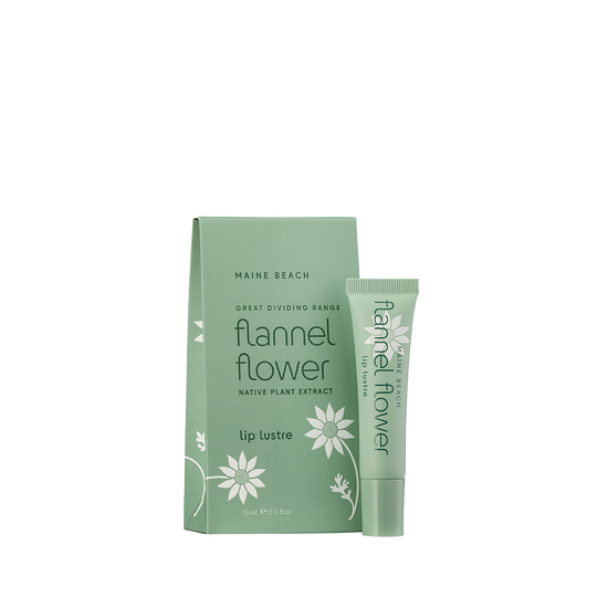 Maine Beach Flannel Flower