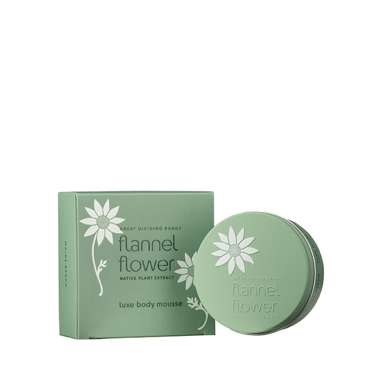 Maine Beach Flannel Flower